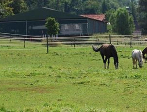 PONYHOF ASCHAFFTAL