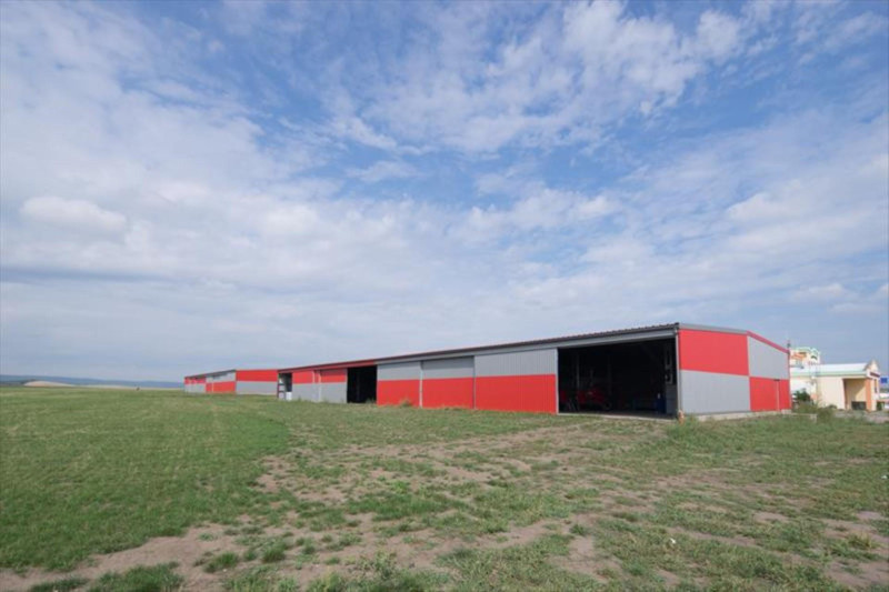 CZ0582 Hate Hangar 2