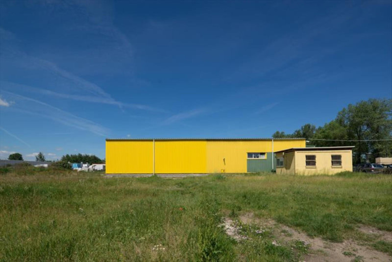 CZ0798 DREVO TRUST HRADEC