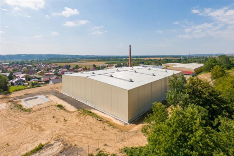 CZ1041 DŘEVO TRUST LIPNÍK 2